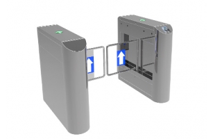 2台圆弧桥式摆闸