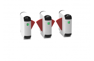 3台幼儿园熊猫摆闸